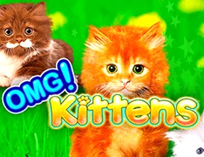 Omg Kittens Slots