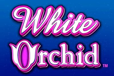 White Orchid Slots