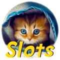 Over 250 top slots, video poker & blackjack games