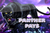 Panther Pays Slot