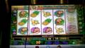 Twice Your Monkey Slot Machine Run of Line Hits